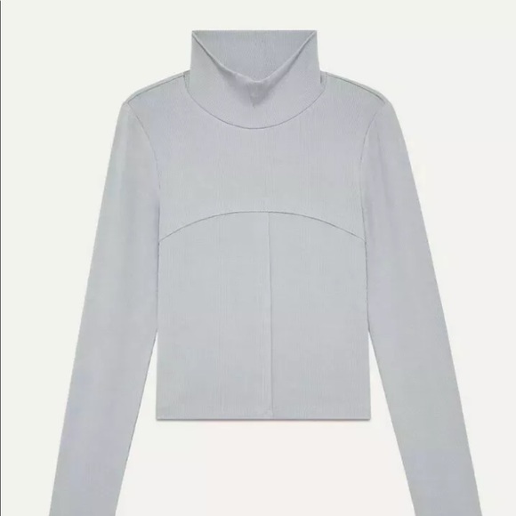 Aritzia Wilfred Lucie Moon Turtleneck 